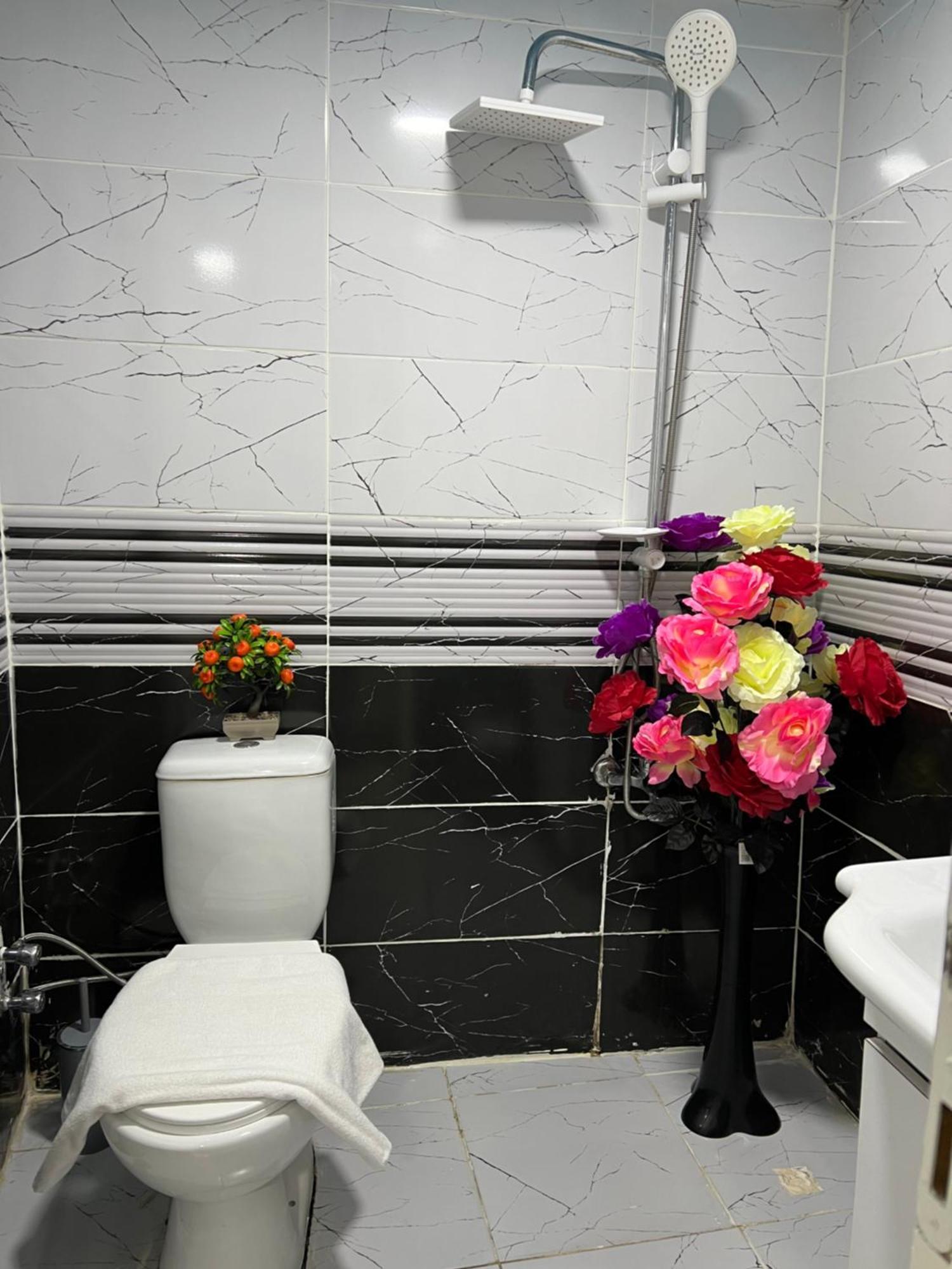 Sultanahmet Blue Apart Hotel 伊斯坦布尔 外观 照片