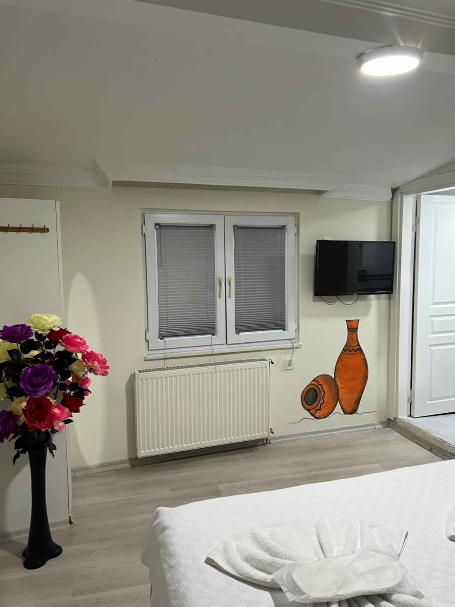 Sultanahmet Blue Apart Hotel 伊斯坦布尔 外观 照片